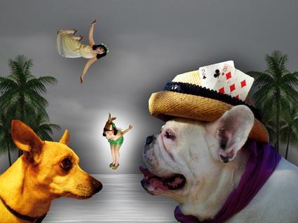 17 Campanilla dice cachorros perdidos ataquen Wendy