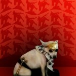 40 perrita pirata
