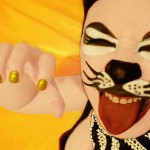 Gato guasón